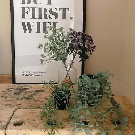 Agrilia Maison Apartment